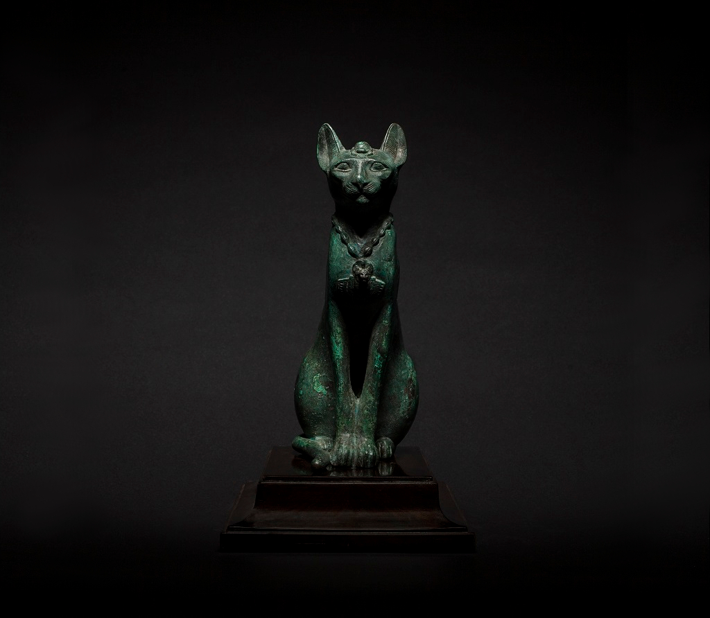 Seated Cat